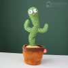 cactus bailarin colombia01