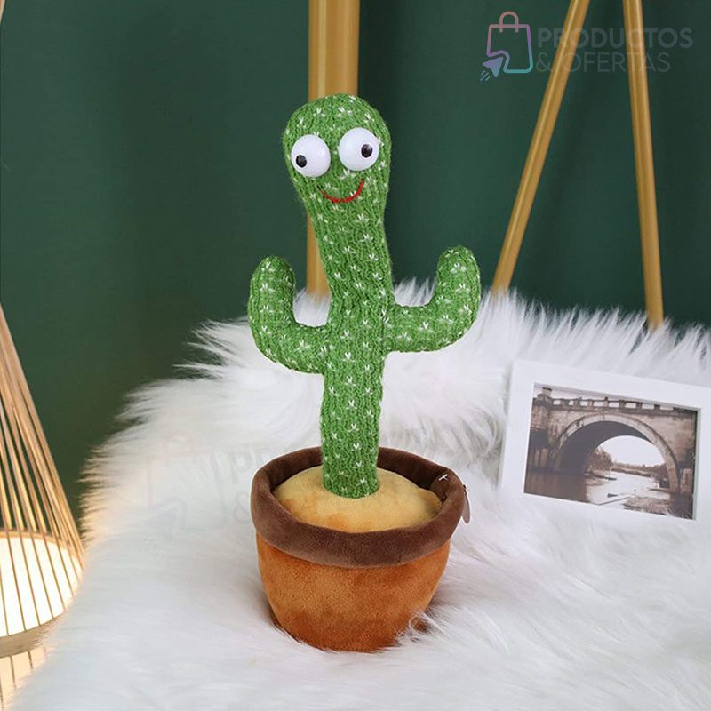 cactus bailarin colombia02