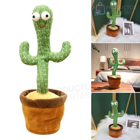 cactus-bailarin-colombia04